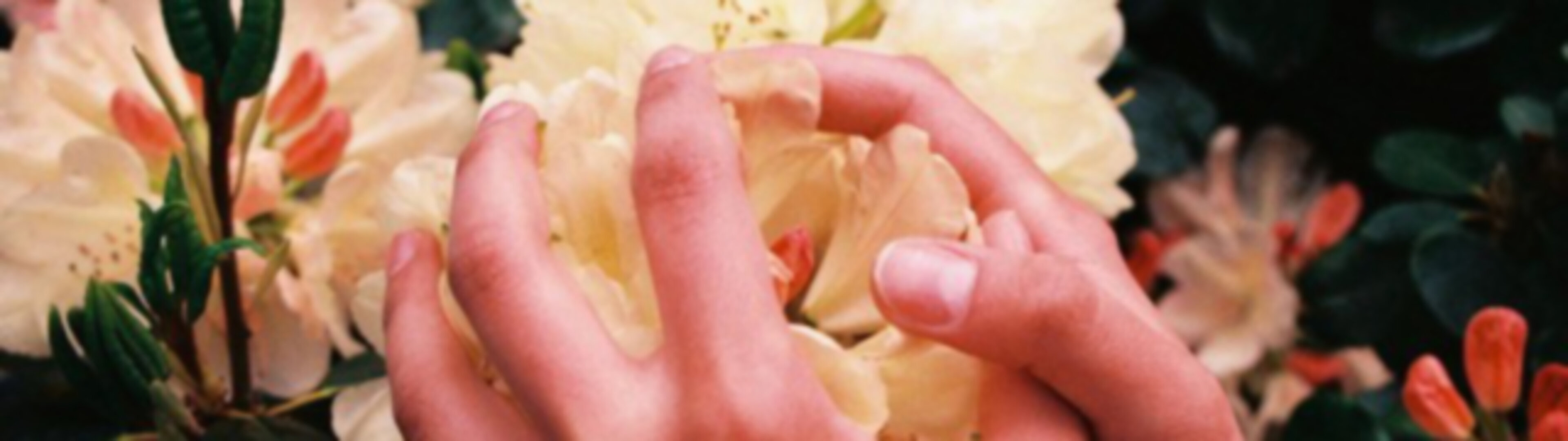 porquê usar pensos de pano - pelo planeta