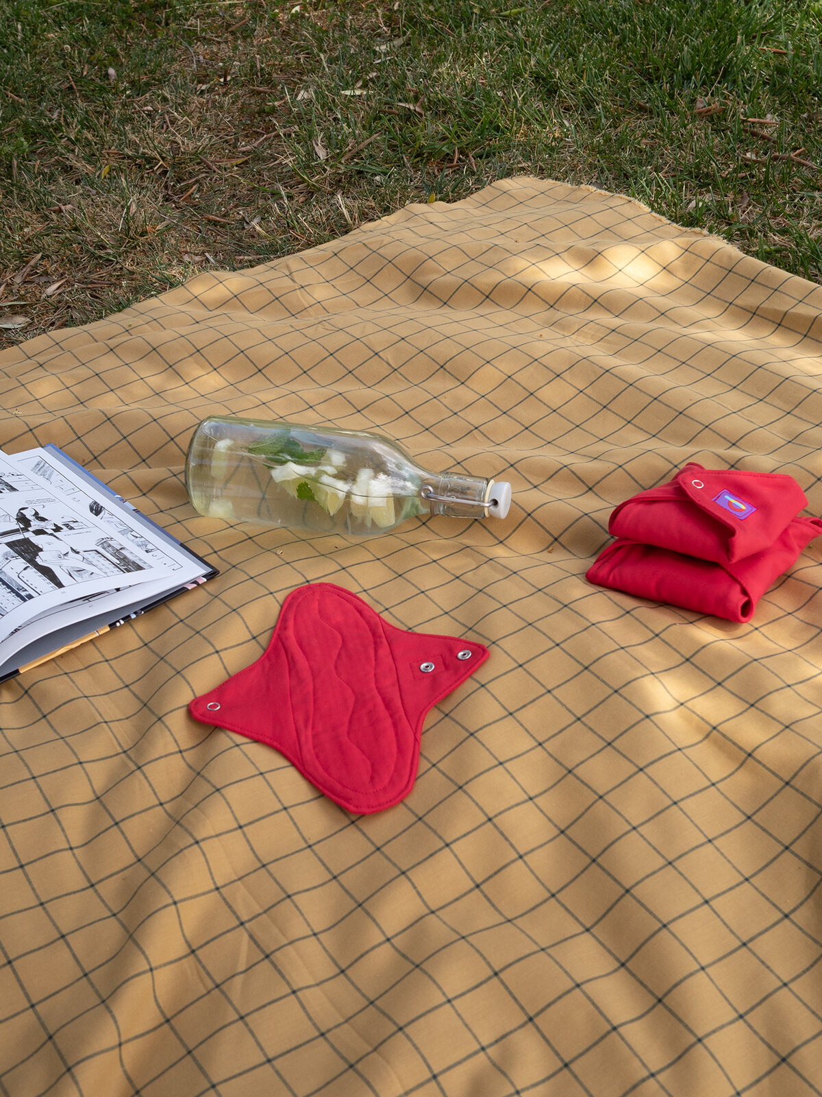 Penso Papoila Vermelha na manta com livro e bebida